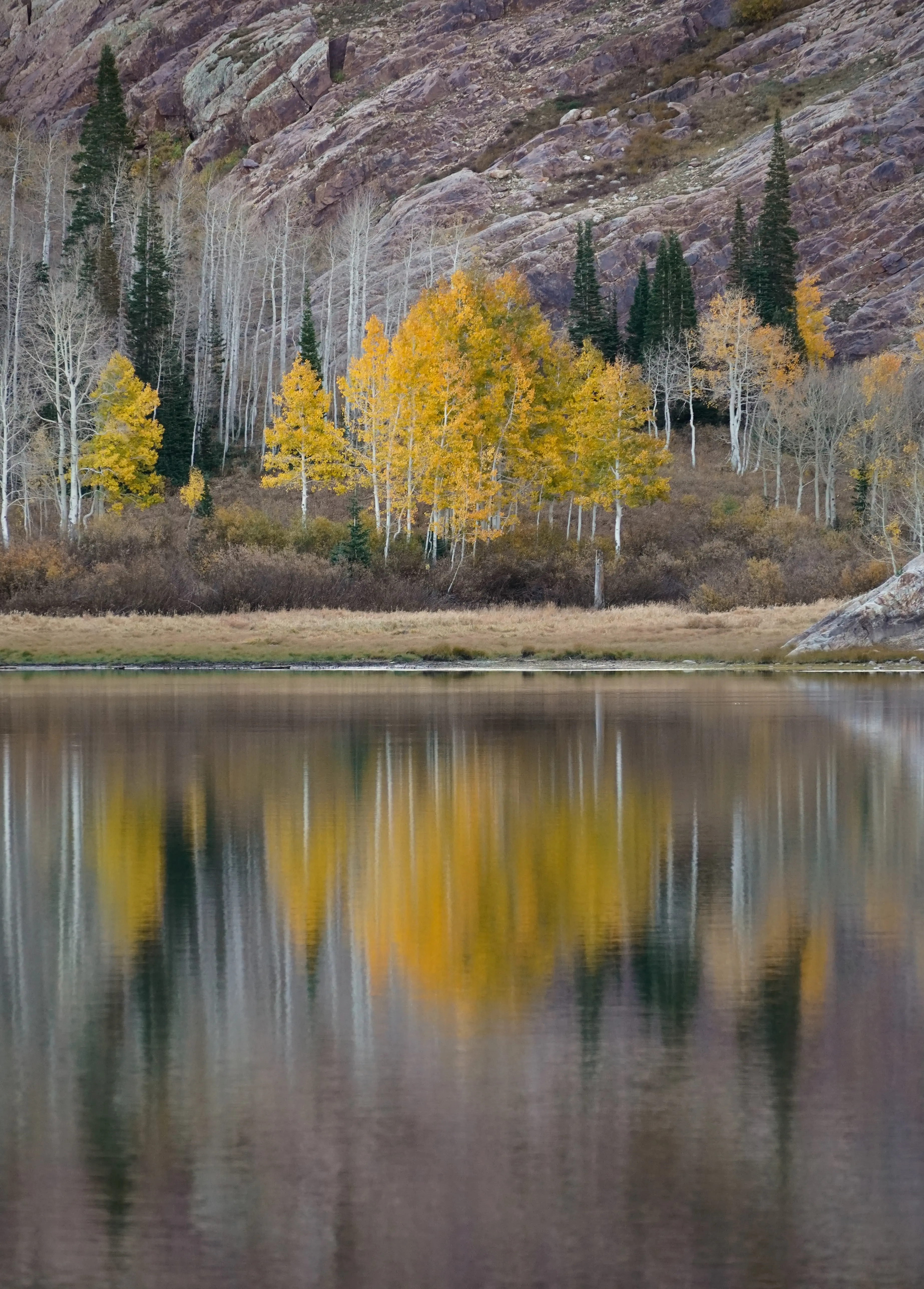 Aspens with golden leaves reflected in the still water of Lake Blanche. Wasatch, Utah. Photo credit: Shane Haynes
